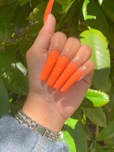 Load image into Gallery viewer, Sugar Baby