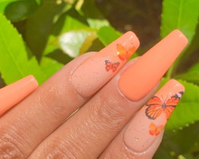 Load image into Gallery viewer, Mariposa