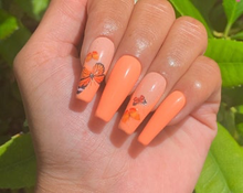 Load image into Gallery viewer, Mariposa