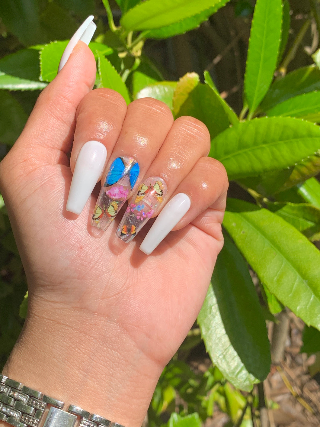 Butterfly Life Pt.2