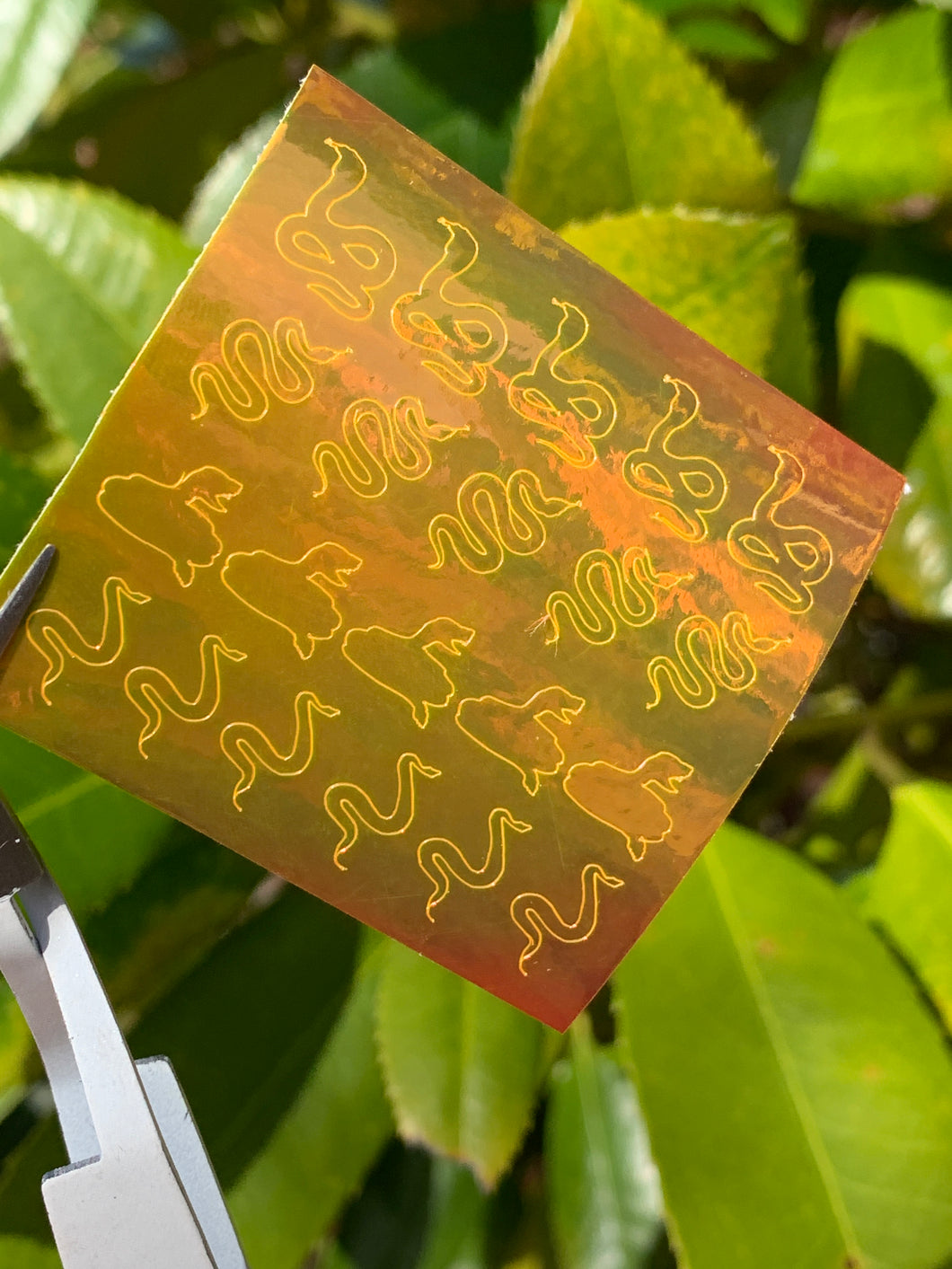 Snake Decals